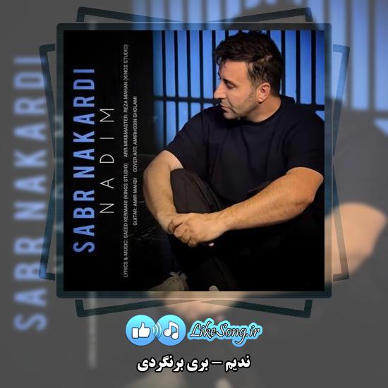 دانلود آهنگ ندیم بری برنگردی